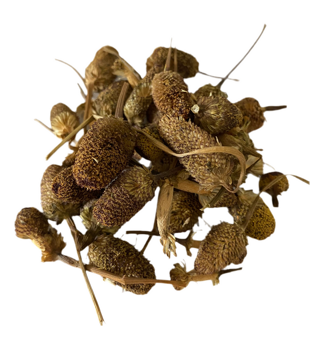 Pyrethrum Flower Whole