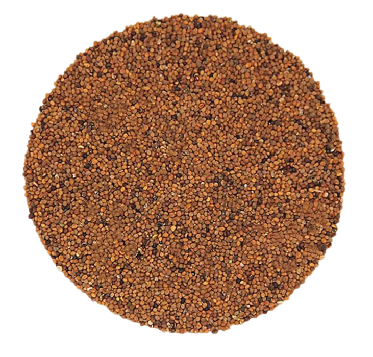 Dodder Seed Whole