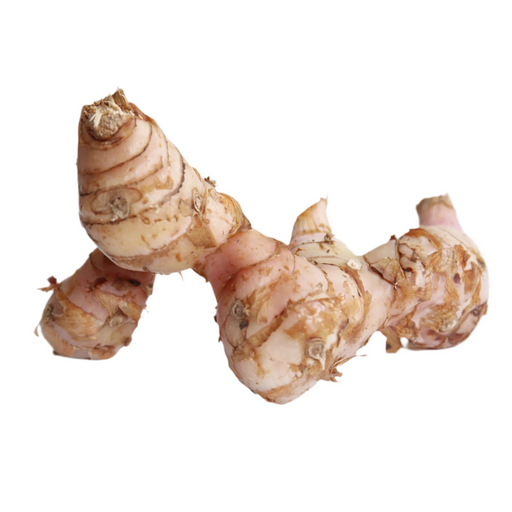 Galangal Essential Oil