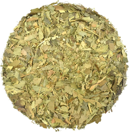 Climbing Ivy Herb C/S