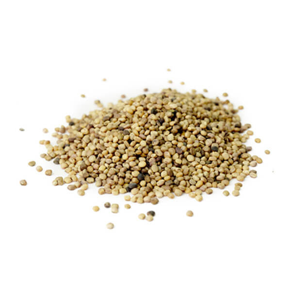 Guar Gum Seed Whole