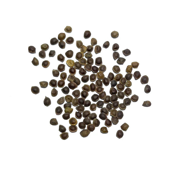 Mimosa Seed Whole