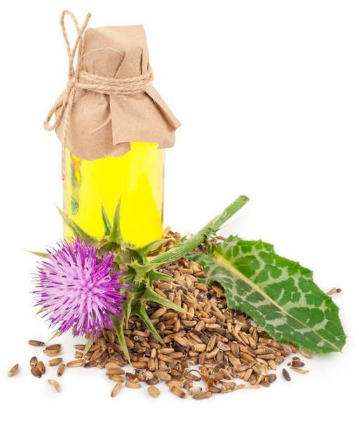 Milk Thistle Seed Carrier Oil