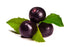 Acai Berry Fragrance Oil - Sunrise Botanics