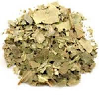 Chestnut Leaves C/S - Sunrise Botanics