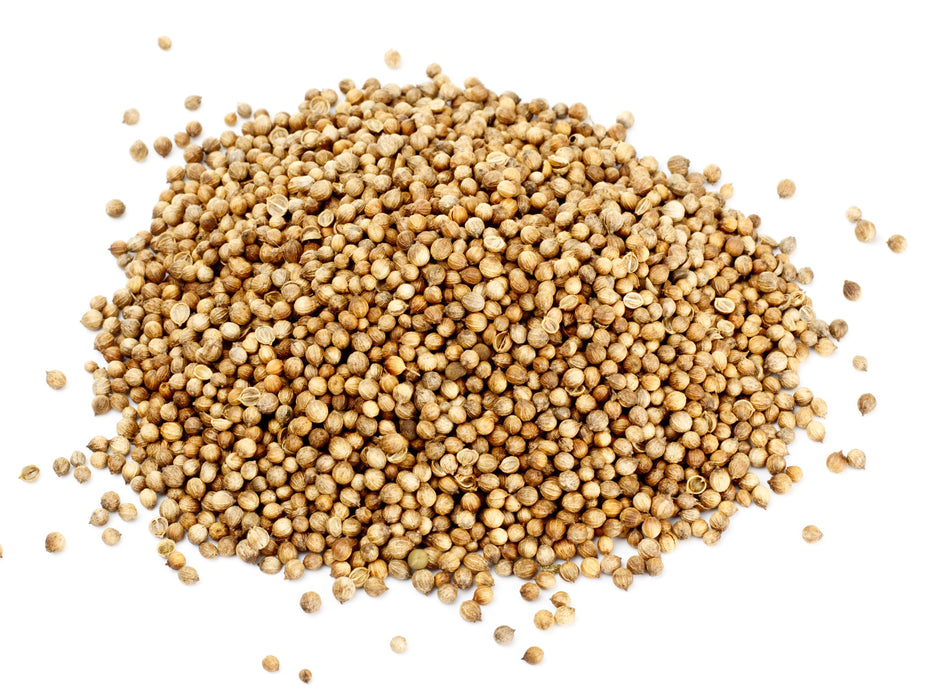 Coriander Seed Whole (India) - Sunrise Botanics