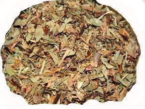 Male Fern Herb C/S - Sunrise Botanics