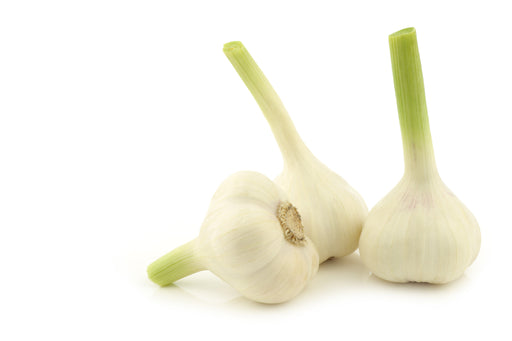 Garlic Essential Oil (India) - Sunrise Botanics