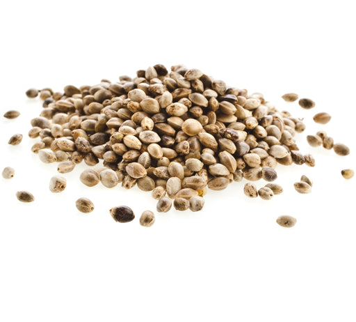 Hemp Seed Carrier Oil Organic - Sunrise Botanics