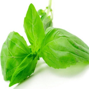 Tulsi Essential Oil (India) - Sunrise Botanics