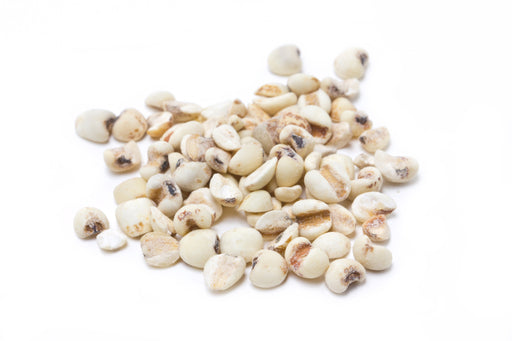 Job's Tears - Sunrise Botanics