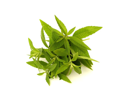 Lemongrass Verbena Fragrance Oil - Sunrise Botanics