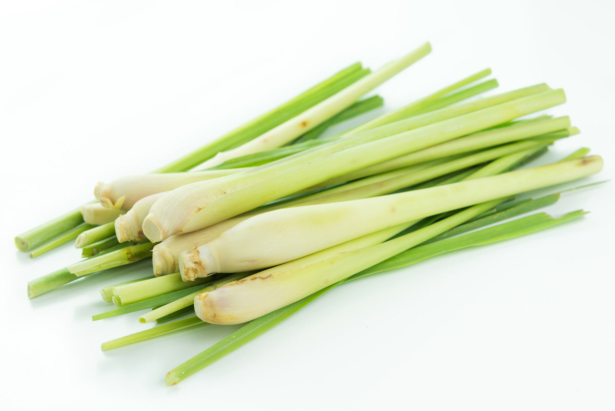Lemongrass Organic Essential Oil - Sunrise Botanics