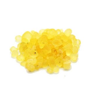 Mastic Gum - Sunrise Botanics