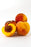 Peach Kernel Carrier Oil (Refined) - Sunrise Botanics