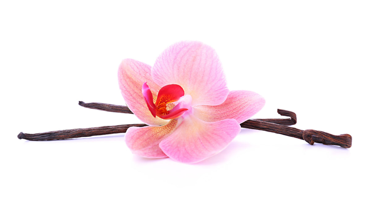 Tahitian Vanilla Fragrance Oil - Sunrise Botanics