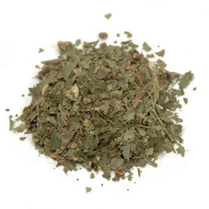 Witch Hazel Leaves C/S (USA) - Sunrise Botanics