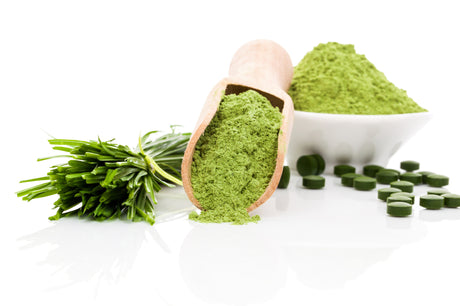 Botanical Extracts