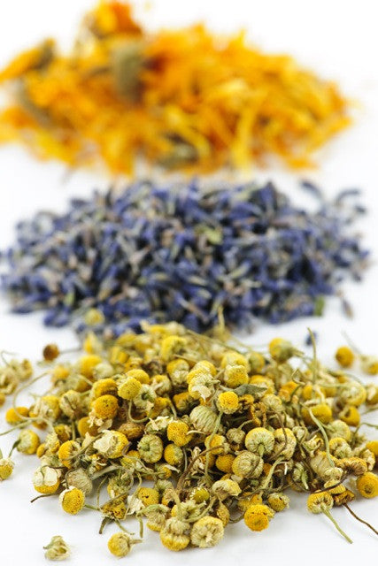 Dried Flowers