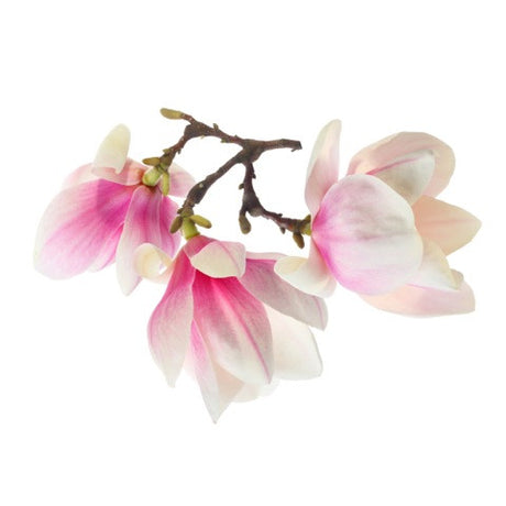 Fragrance Oils (M-Z)