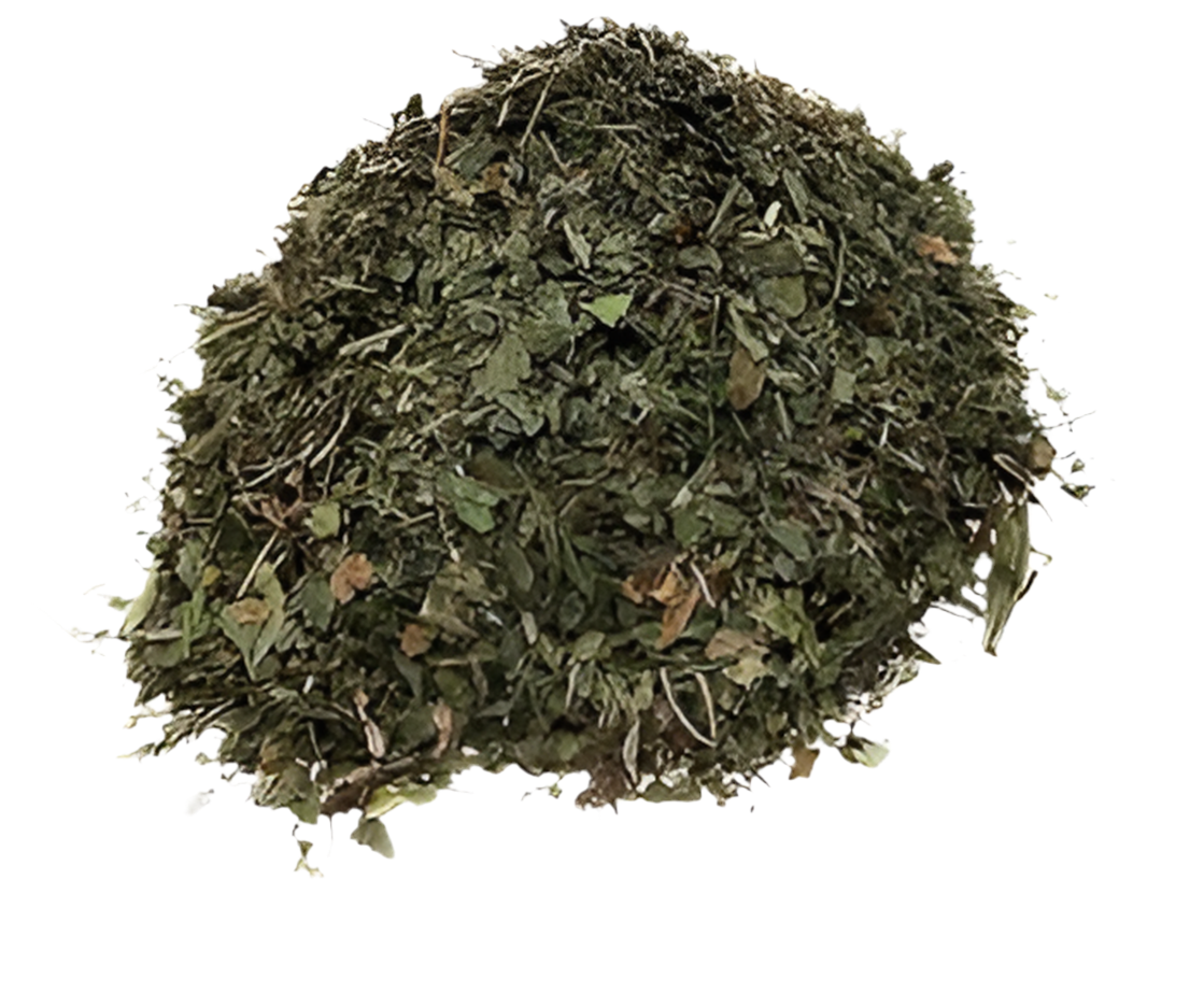 Woodruff Herb C/S