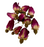 Red Rose Bulbs