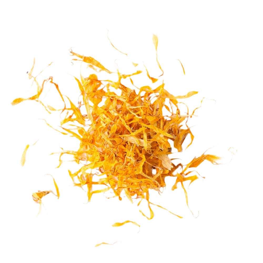 Calendula Flower Petals - Sunrise Botanics