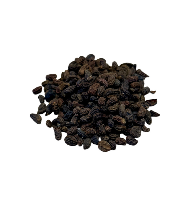 Ligustrum Berry (Glossy Privet)