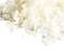 EcoSoya PB Pillar Soy Wax