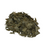 Garlic Ramsons Cut (Wild Garlic) C/S