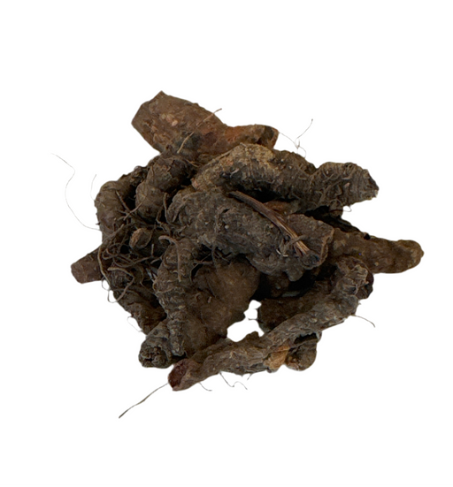 Blood Root C/S