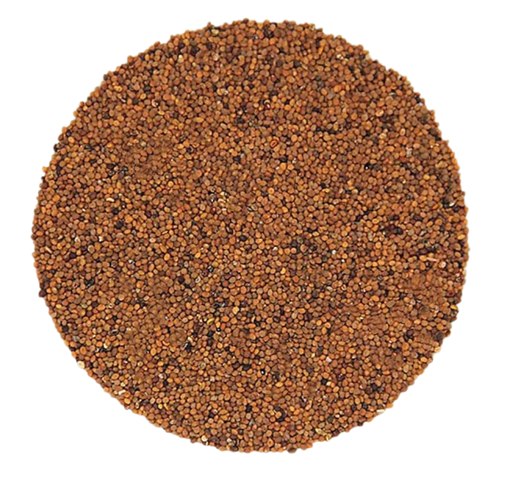 Dodder Seed Whole
