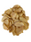 Garlic Flakes