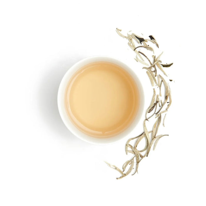 White Tea Absolute