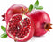 Pomegranate Lip Balm Flavor Oil