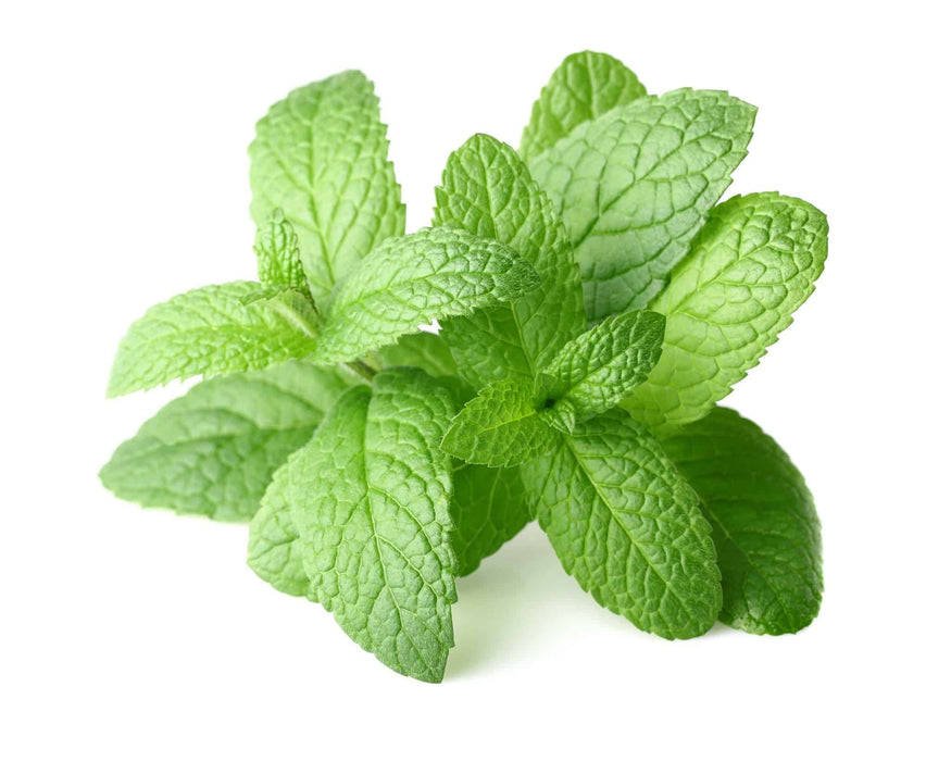 Peppermint Lip Balm Flavor Oil