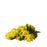 Mimosa Absolute