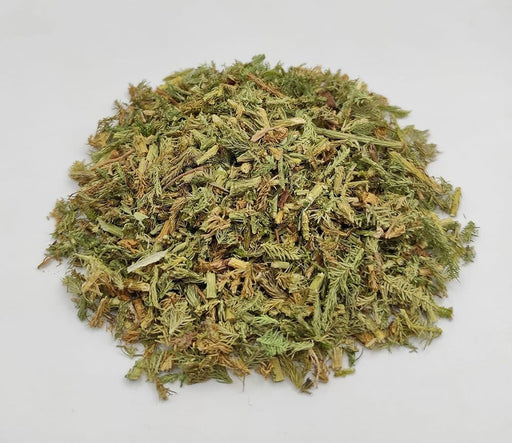 Club Moss C/S