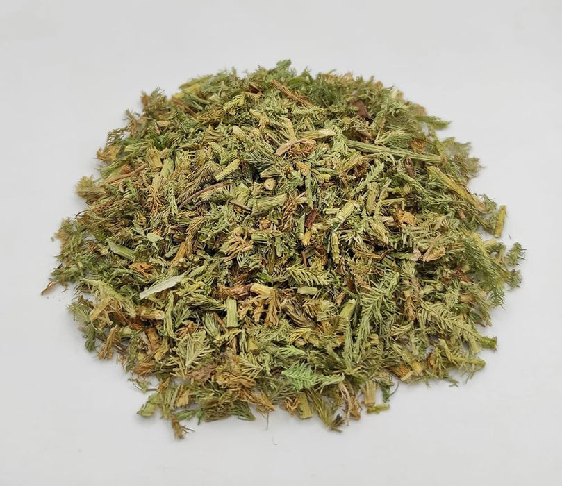 Club Moss C/S