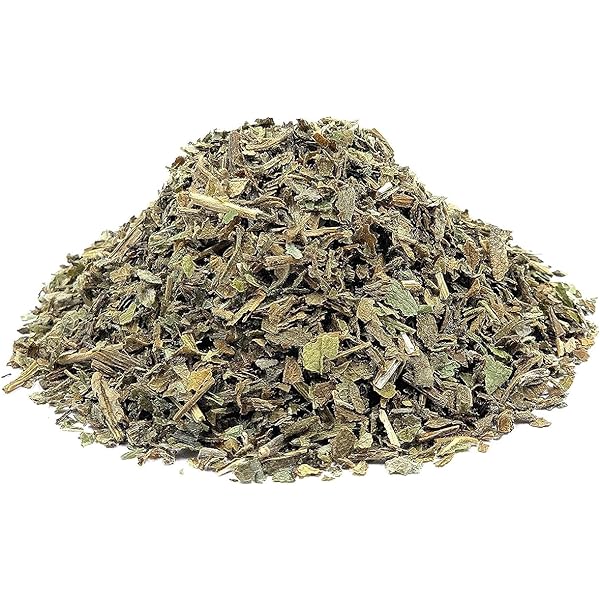 Wild Lettuce Herb C/S (Croatia)