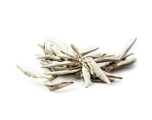 Sage Leaf White (Ceremonial)