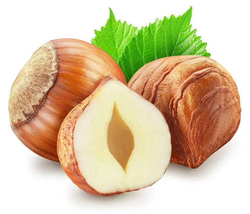 Hazelnut Fragrance Oil