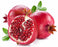 Midnight Pomegranate Fragrance Oil