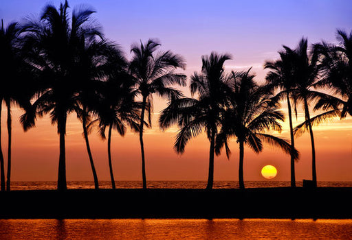 Gain Hawaii Type Fragrance Oil