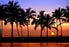 Gain Hawaii Type Fragrance Oil