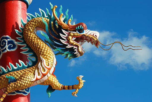 Dragons Blood Fragrance Oil