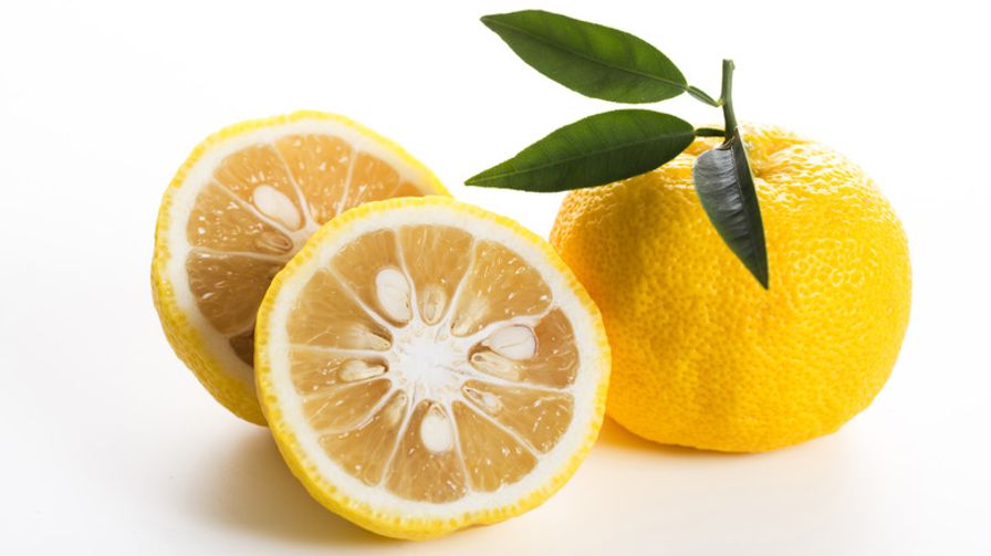 Yuzu Essential Oil