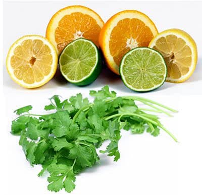 Citrus and Coriander Fragrance Oil