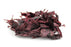 Dulse Leaves Whole (Canada) - Sunrise Botanics