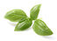 Basil Organic Essential Oil - Sunrise Botanics